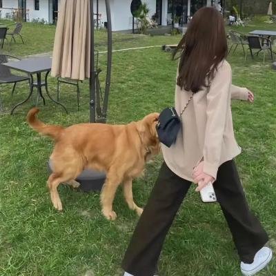 文森特必须死